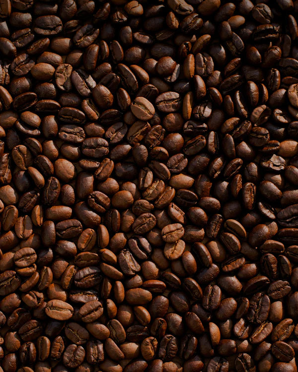Black Bean Coffee